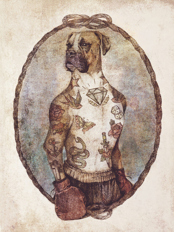 Ilustrace Boxer