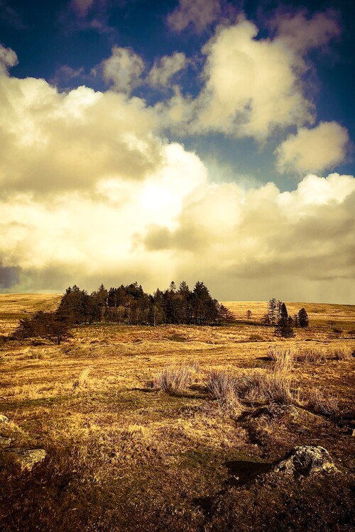 Art Photography Dartmoor national park
