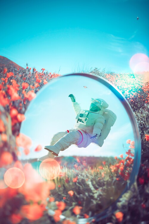 Astronaut reflection in the mirror and orange flowers | Posters, Art Prints, Wall Murals | +250 000 motifs Astronaut reflection in the mirror and orange flowers | Posters, Art Prints, Wall Murals | +250 000 motifs