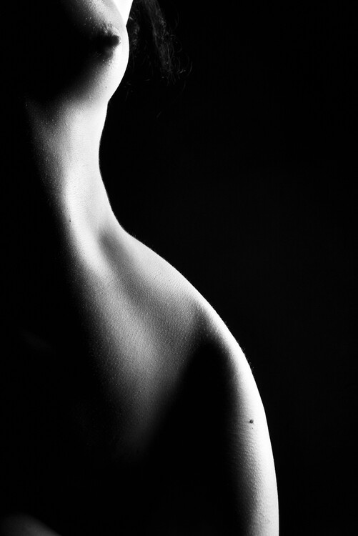 Art Photography woman body shape