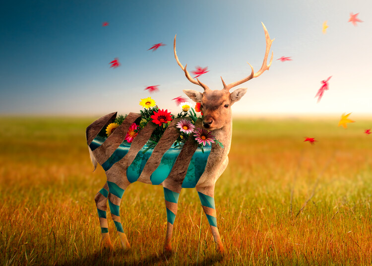 Ilustratie The Beauty Deer