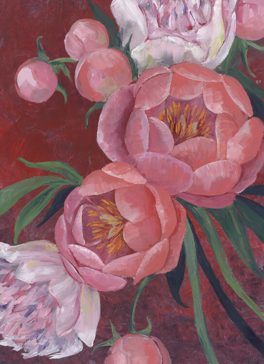 Illustration Nevaeh peonies