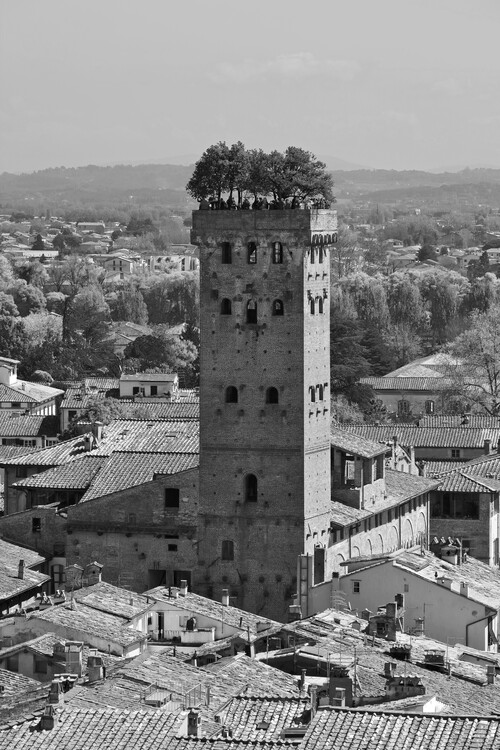 Valokuvataide Lucca Torre Guinigi