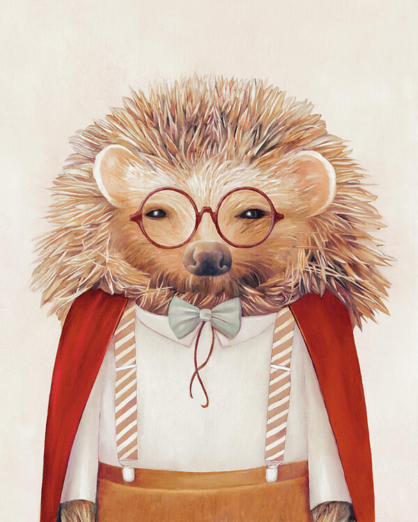 Illustration Harry Hedgehog