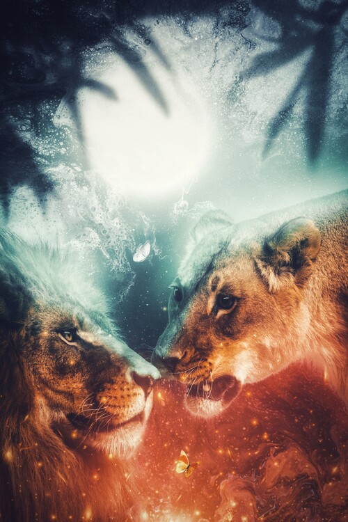 Art Photography Couple of lion in the jungle Moonlight