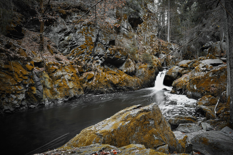 Fotografia artystyczna Waterfall in forest