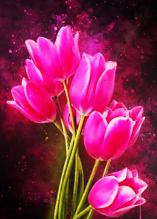Illustration Tulips