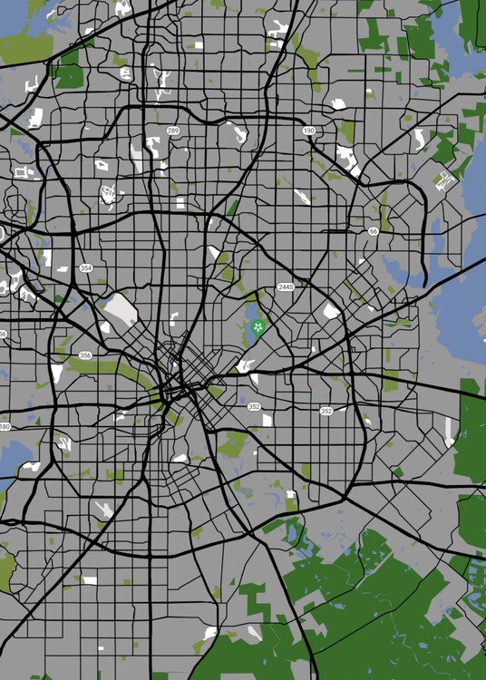 Mappa City Map Dallas