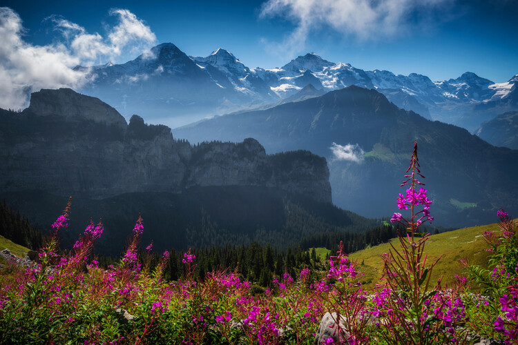 Swiss landscape as Posters and Art Prints - Buy Online at Europosters