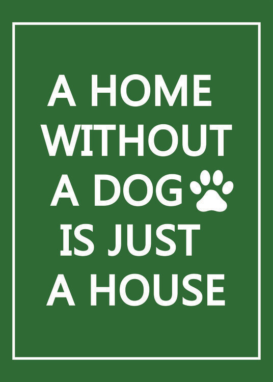 Illustration Dog Home