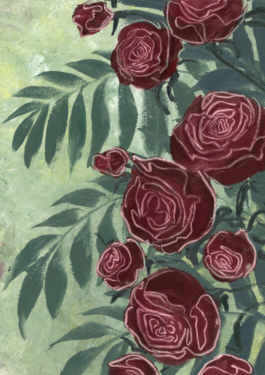Illustration Ollien red roses