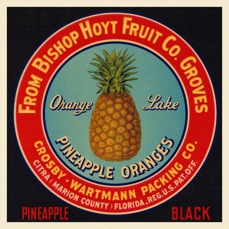 Fine Art Print Orange Lake Pineapples & Oranges Brand in Black (Colourful Retro Graphic / Vintage Fruit & Fresh Produce Advertisement) - Florida Crate Labels