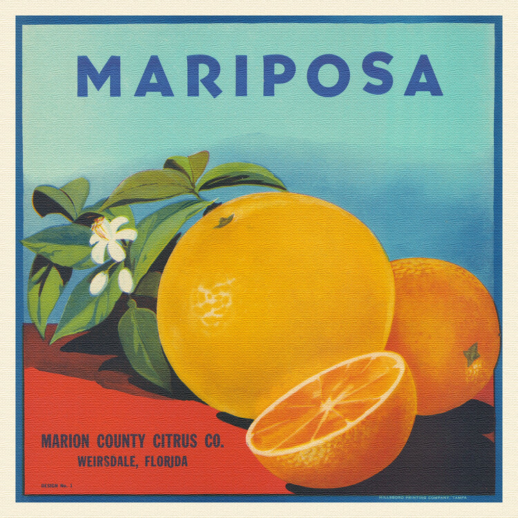 Obrazová reprodukce Mariposa Brand Citrus, Florida Crate Labels, 40 × 40 cm