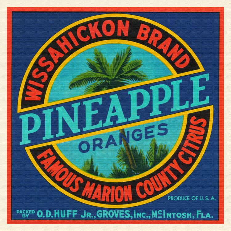 Fine Art Print Wissahickon Brand Pineapples & Oranges