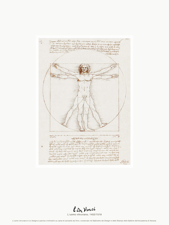 Konstn Rliga Illustration The Vitruvian Man L Uomo Vitruviano