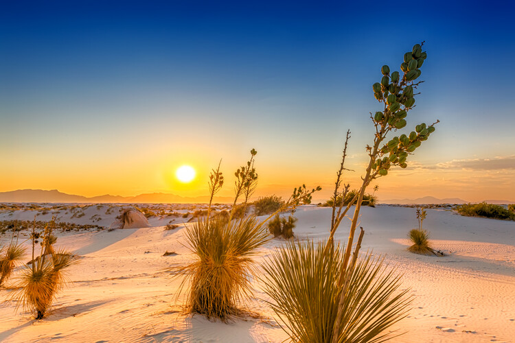 Arte Fotográfica White Sands Sunset New Mexico