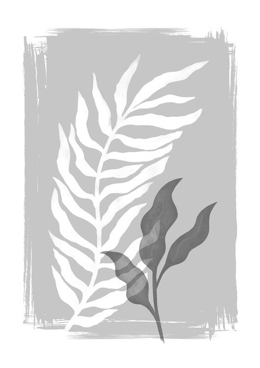 Illustration Shadow Plants