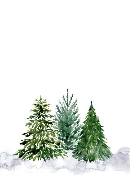 Ilustracija The pines