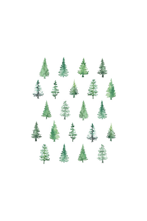 Illustration Watercolor pine trees