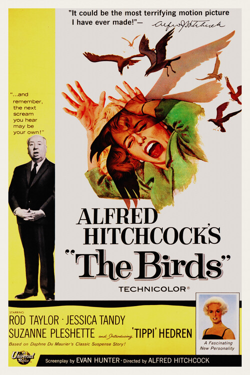 Alfred Hitchcock Posters & Wall Art Prints | Buy Online at EuroPosters