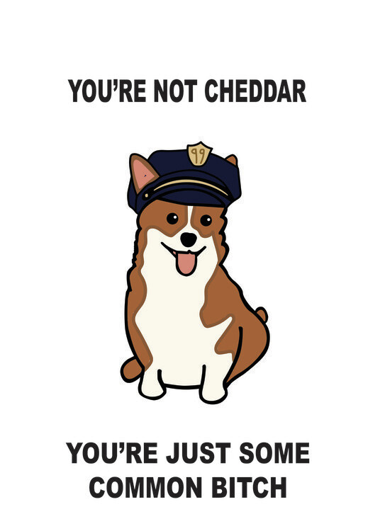 Illustration You're not cheddar Bitch