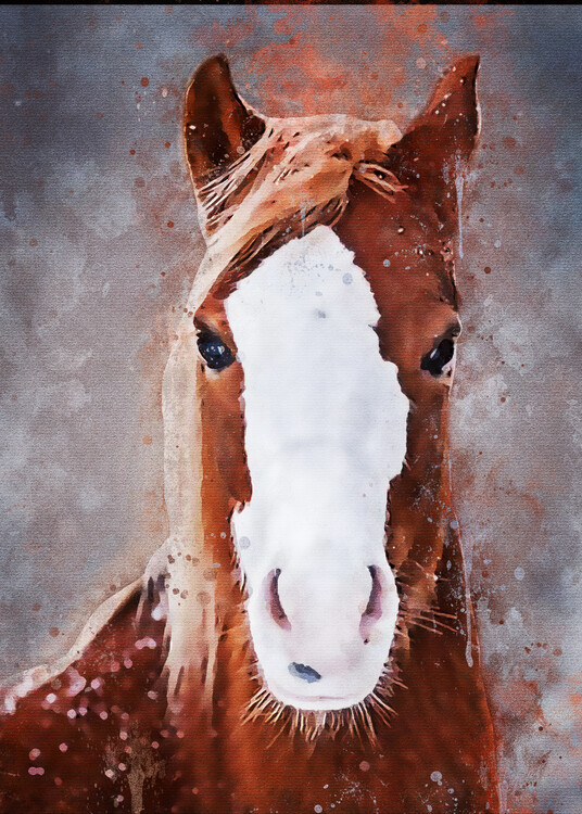 Illustration Splatter Horse