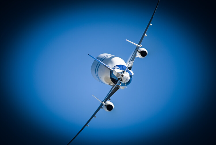 Art Photography Beluga banking