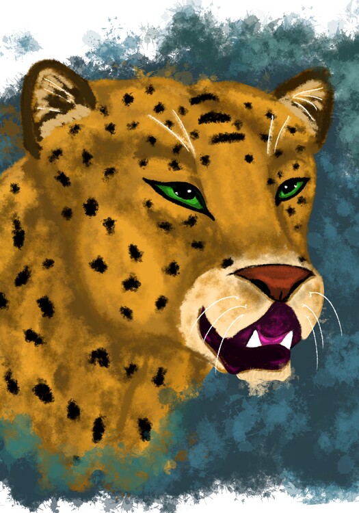 Illustration Wild cat