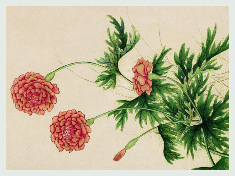 Taidejäljennös Spring Peonies (Asian Floral) - Zhang Ruoai