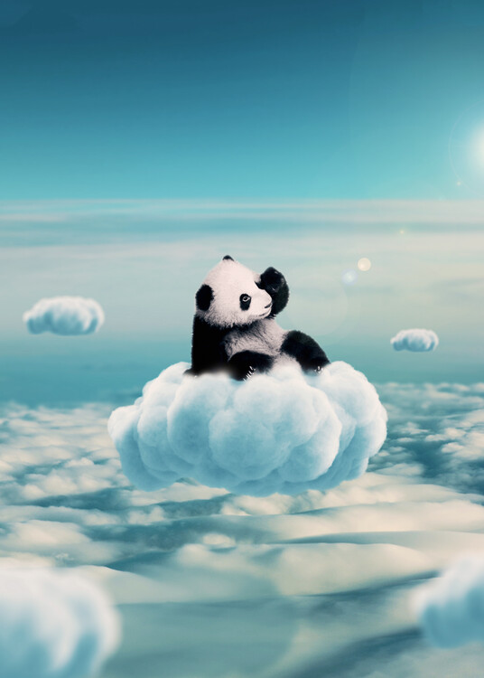 Art Photography Flying Clouds With Baby Panda