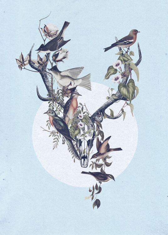 Ilustratie deer and birds