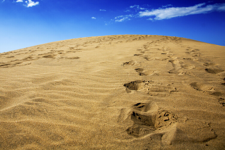Konstfotografering Footprints in the sand on a sand dune