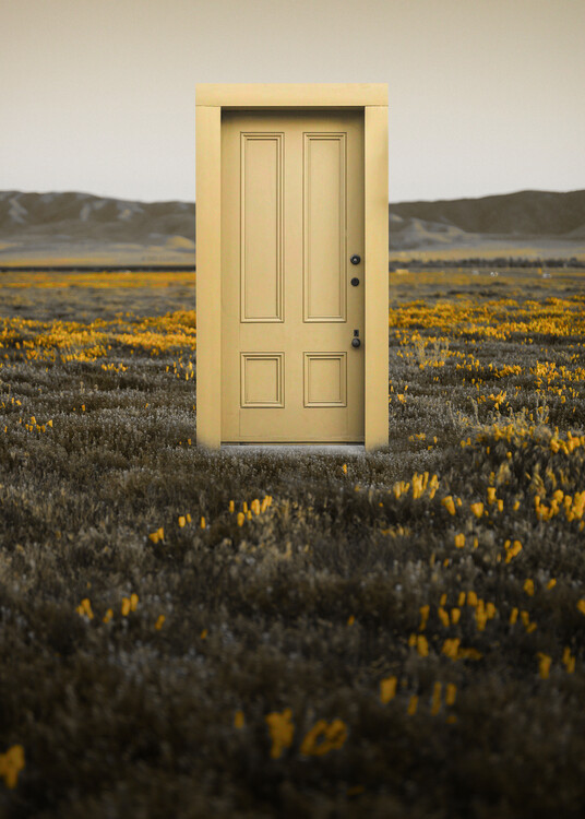 Canvas Print yellow door