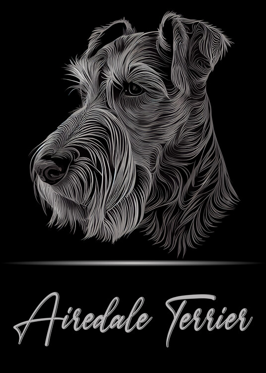 Illustrazione Airedale Terrier
