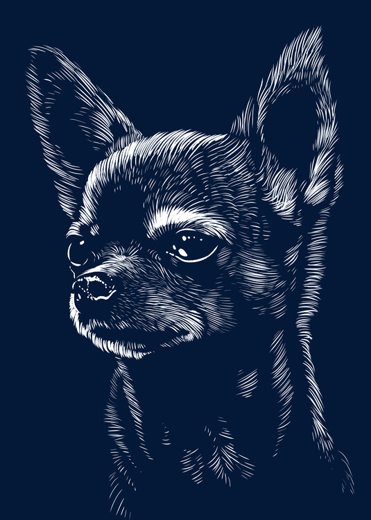 Ilustrácia Chihuahua dog face