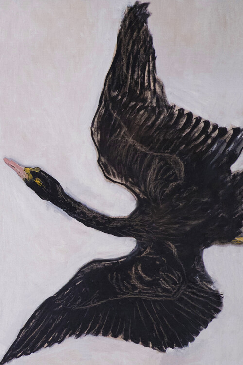 Obrazová reprodukce The Black Swan (2 of 2) - Hilma af Klint, 26.7x40 cm