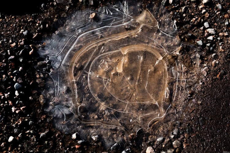 Art Photography Frozen water