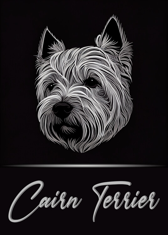 Ilustração Elegant Cairn Terrier
