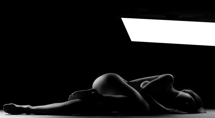 Art Photography Under light