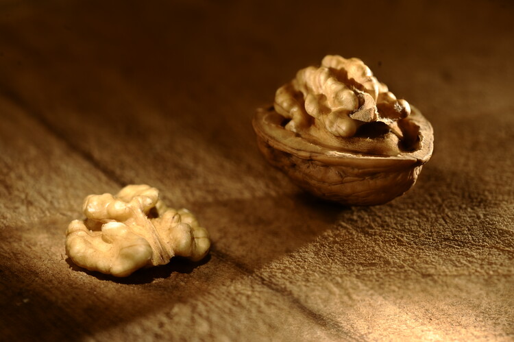 Konstfotografering An open walnut