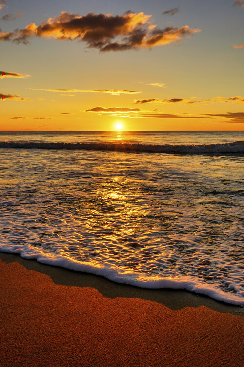 beach landscape photo