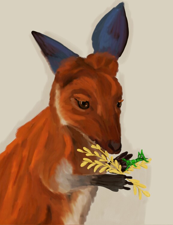 Illustration Kangaroo and grasshopper