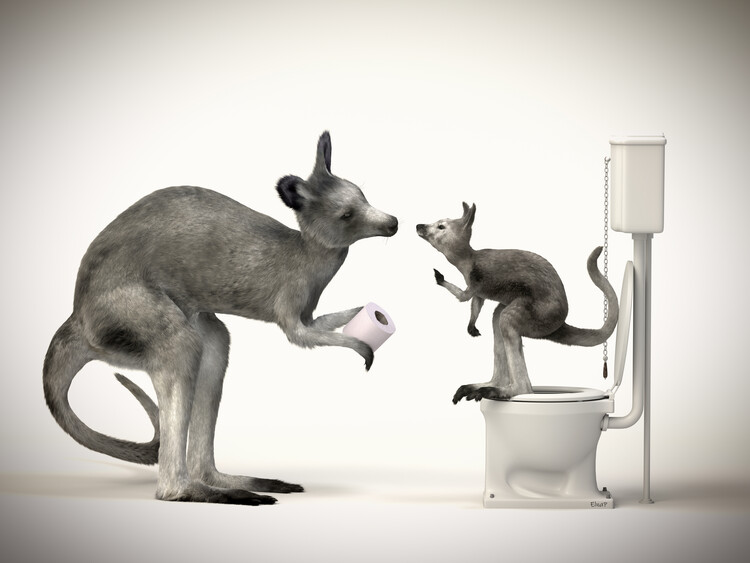 Ilustração Animal on the toilet,animal print on the toilet,Bathroom Art