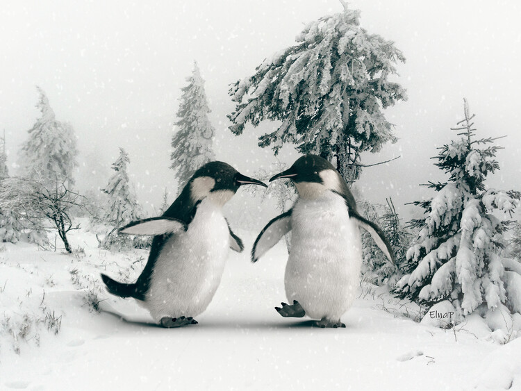 Ilustração Nice printable image of penguin,penguin bathroom decor