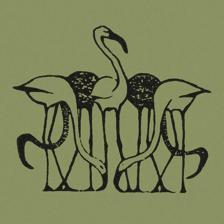 Canvas Print Five Flamingos (Green Graphic) - Gerrit Willem Dijsselhof