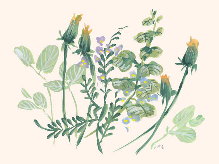 Ilustração Meadow bouquet with closed dandelions