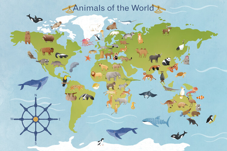 илюстрация Judith Loske - World Map of Animals