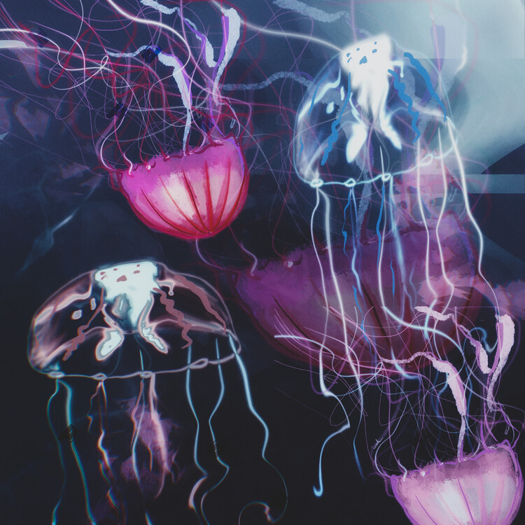 Ilustracja Jellyfish