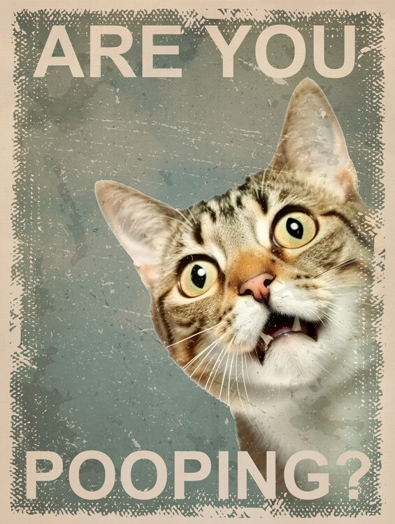 you can do it cat poster