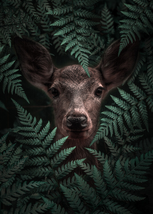 Illustration Deer Ink Art